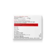 Cefasyn 500 Mg Tablet Box/Carton showing the Back face.