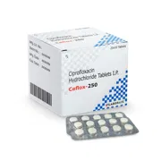 Ceflox 250 Mg Tablet Box/Carton + Blister Pack showing the Front face.