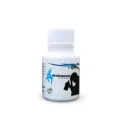 Hashmi Antobacus Capsule Bottle showing the Front face.
