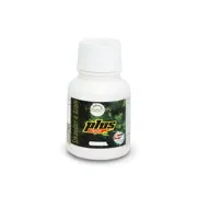 Hashmi Sikander-E-Azam Plus Capsule 300 Mg Bottle showing the Front face.