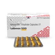 Labmox 500 Capsule Box/Carton + Blister Pack showing the Front face.
